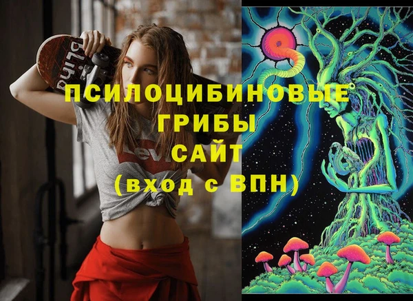 не бодяженный Абаза