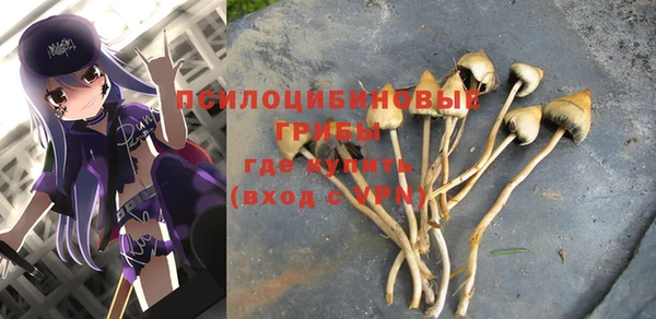 не бодяженный Абаза